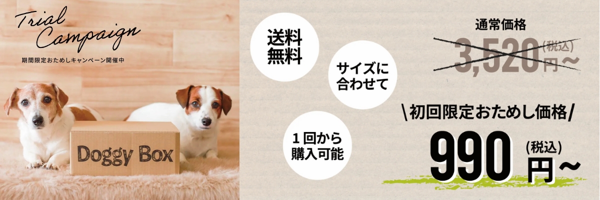 doggybox_campaign990